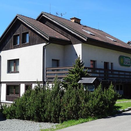 Pension Arnika Destne v Orlickych horach Exterior photo