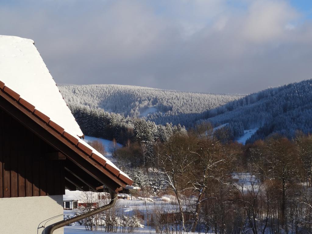 Pension Arnika Destne v Orlickych horach Exterior photo