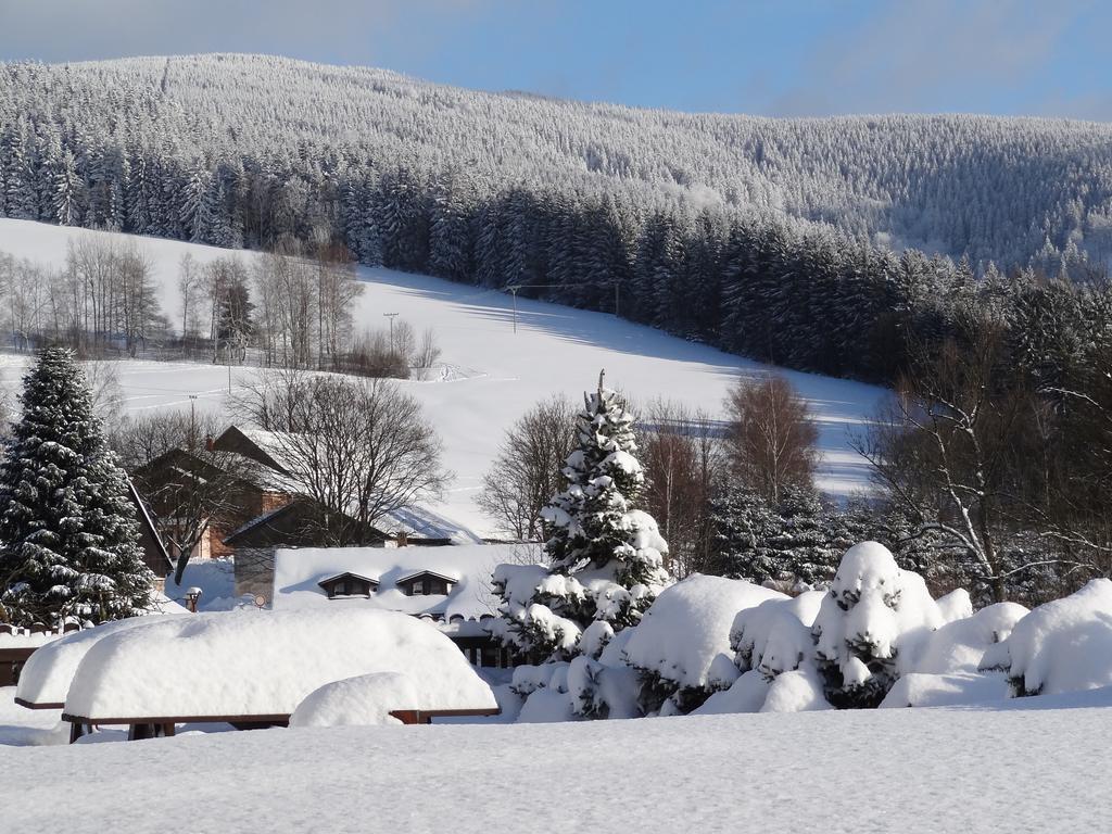 Pension Arnika Destne v Orlickych horach Exterior photo